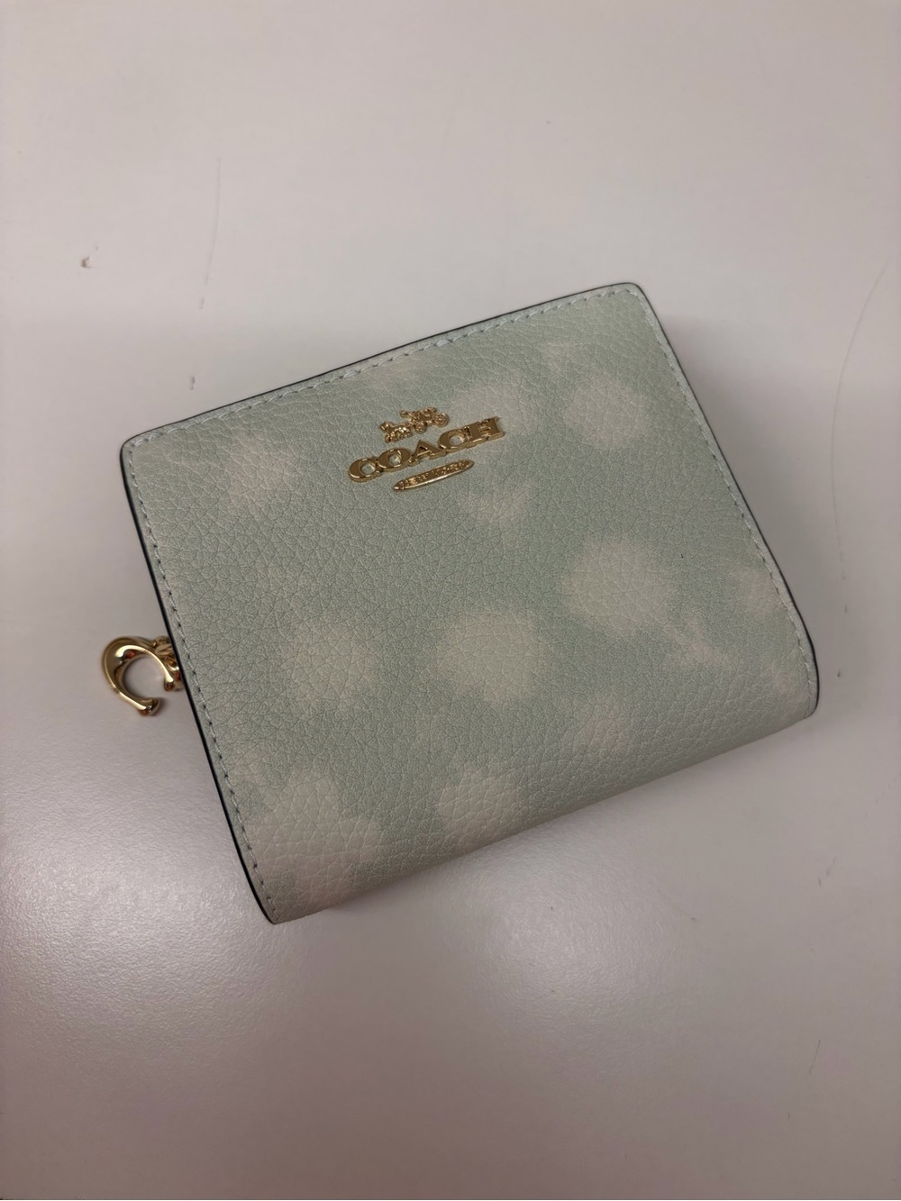 Coach Mint Green Polka Dot Leather Zip Wallet with silver chain new with ID case